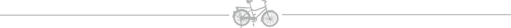 Horizontal Line Buffalo Bike